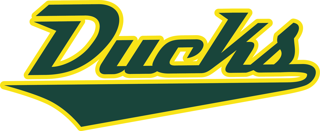 Oregon Ducks 2013-Pres Wordmark Logo diy fabric transfer